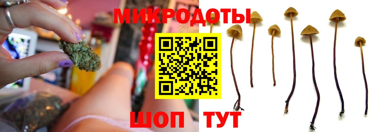 Галлюциногенные грибы Cubensis Набережные Челны